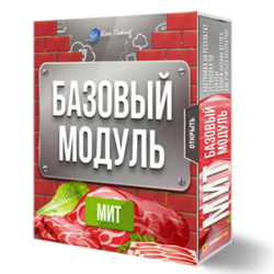 Права перепродажи + Базовый Модуль годовой программы МИТ